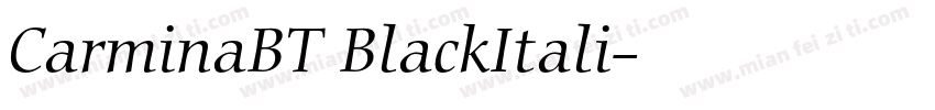 CarminaBT BlackItali字体转换
